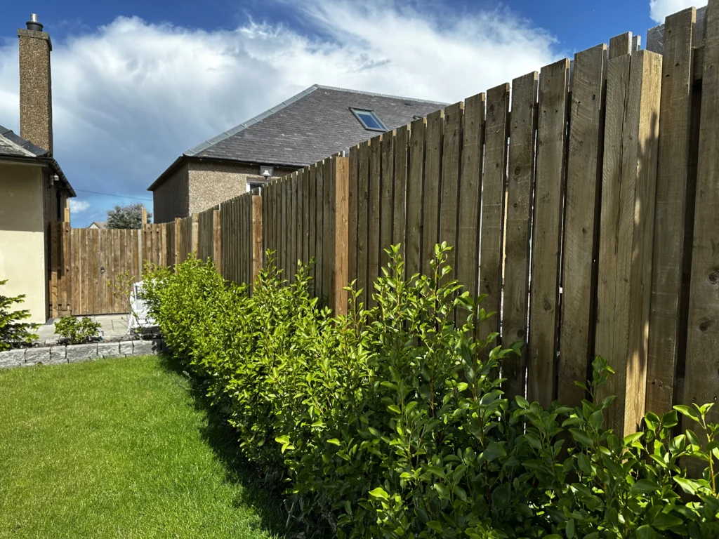 Timber fencing installed by Halley Garden Services Midlothian