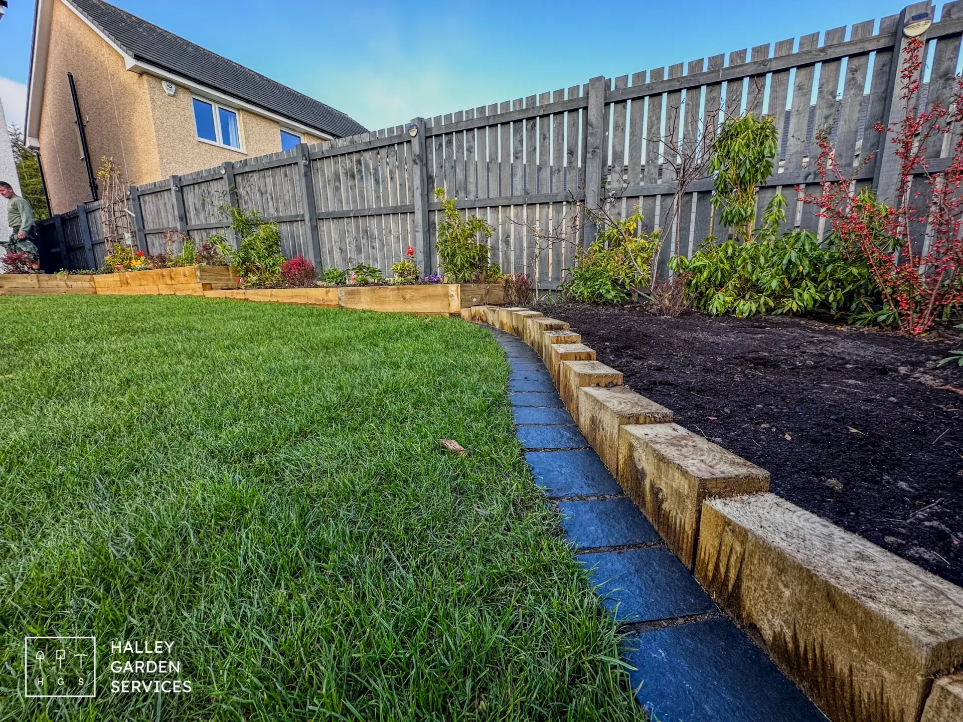 Back garden plants in raised timber beds in Midlothian