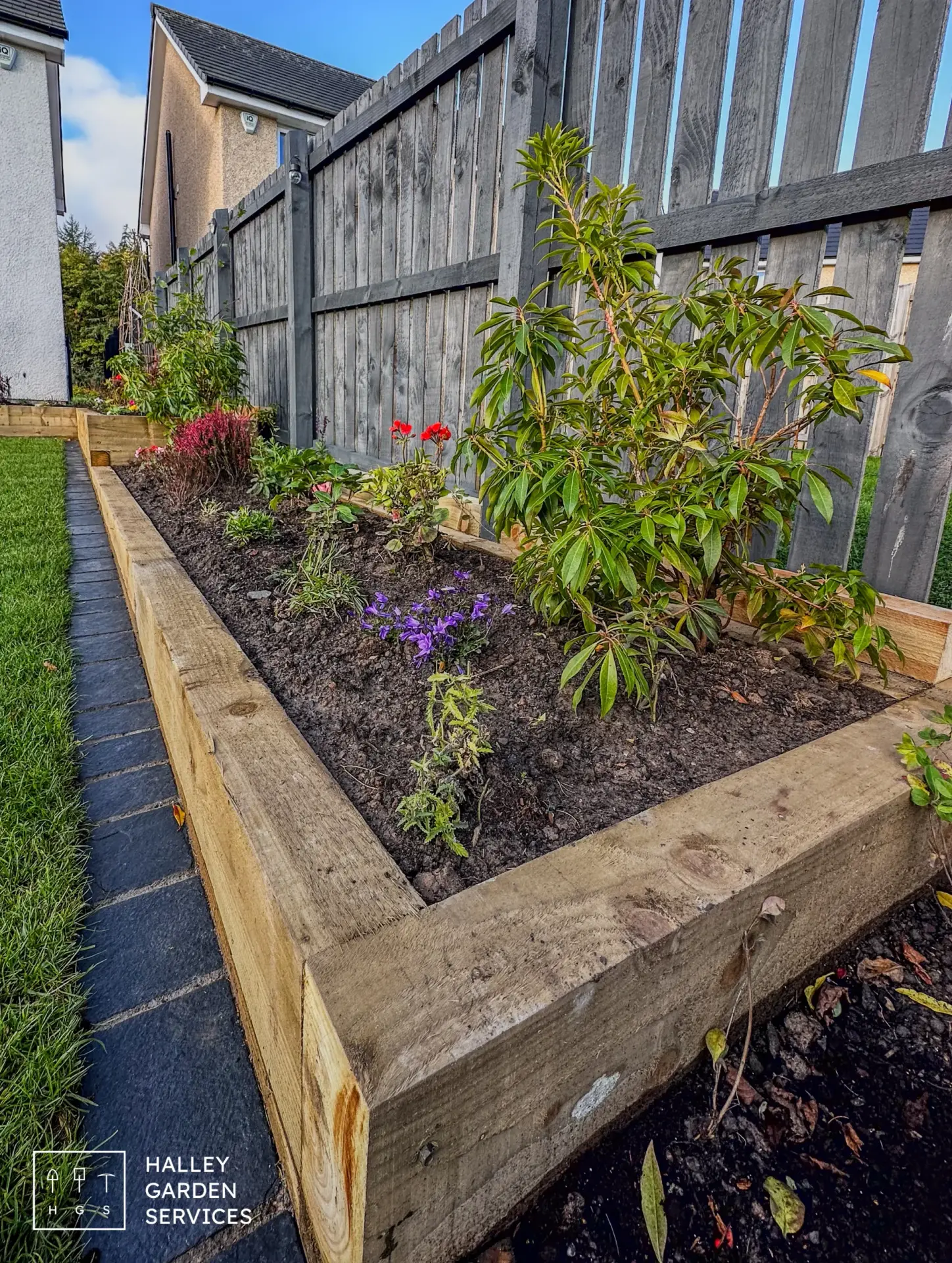 Back garden plants in raised timber beds in Midlothian